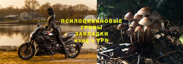 стафф Баксан