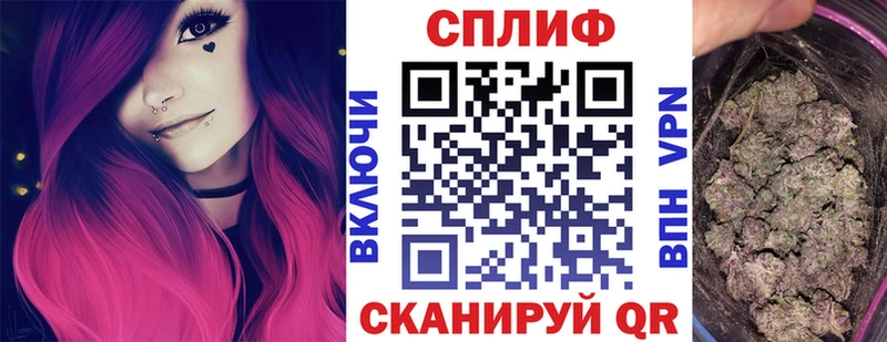 Бошки марихуана SATIVA & INDICA  что такое наркотик  Кондрово 
